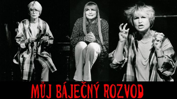 MŮJ BÁJEČNÝ ROZVOD