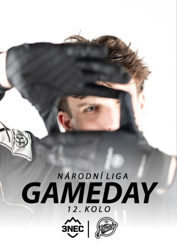 12. KOLO NÁRODNÍ LIGY MUŽŮ - FBC Intevo Třinec vs. Hornets Brno ZŠ Horní